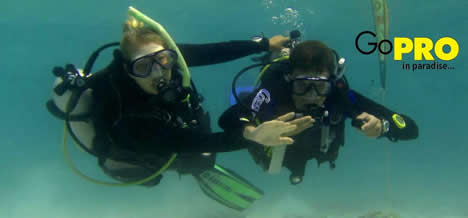 Click for more Divemaster information.